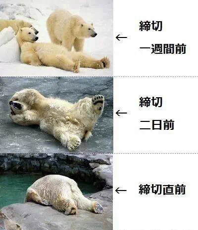 @kimuti_X まさにこんな感じです(*ﾟдﾟ*) 