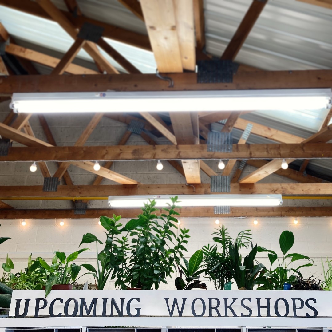 CSSofJ's tweet photo. Not long now... Have you booked yours?
.
#UpcomingWorkshops #WellBeBack #BackSoon #Reunion #CSSJ #Can'tKeepAGoodThingDown #Dunblane #CraftingCommunity #JewelleryClasses #Silver #JewellerySchool https://t.co/Vx0LmstRhc