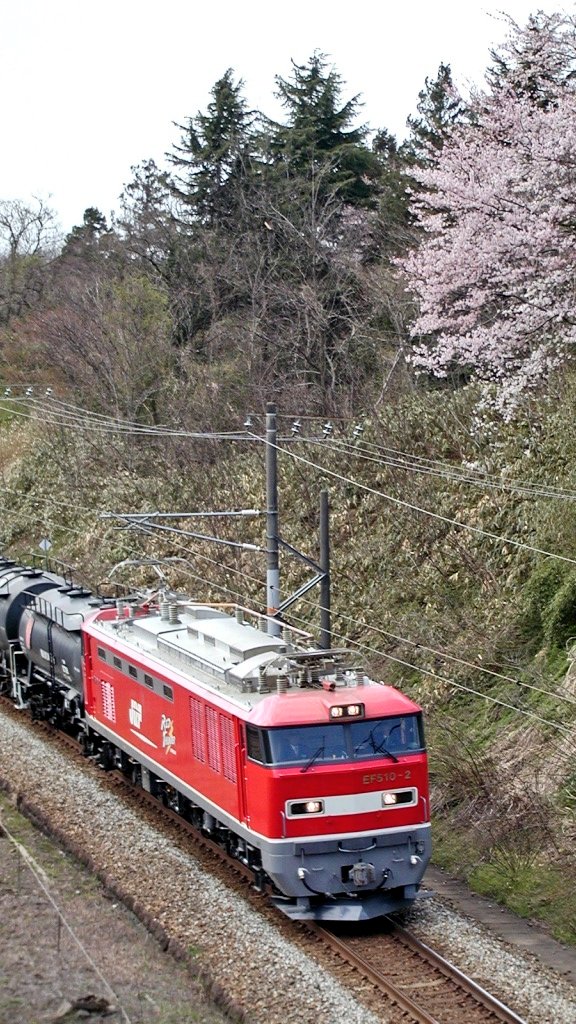 EF510 #レッドサンダー #富山機関区 #セメントタキ #桜