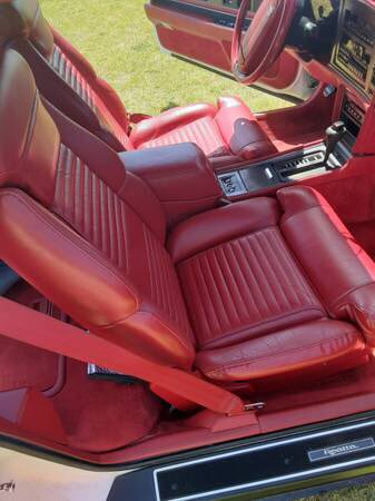 should i get this car 😹 i fuckin&rsquo; love it https://t.co/Rqz33SrWnN