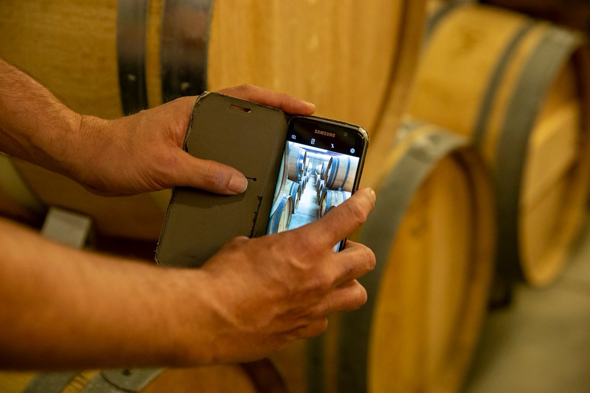 Activitats VÍVID d'aquest cap de setmana adreçades únicament als habitants de l'Empordà:
📍Esmorzar entre vinyes <a href="/ViAspres/">Vinyes dels Aspres</a> 
📍Visita a Rabós i tast i maridatge a #CastelloMurphy 
📍Maridatges @CoopEmpordalia 
📍Poesia i vins vora el mar <a href="/_lagastronomica/">La Gastronòmica</a>  
vivid.costabrava.org