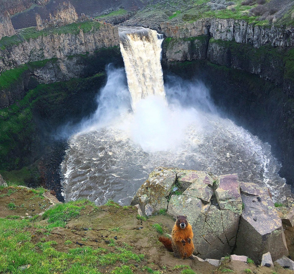 Mike Ellis tweet media