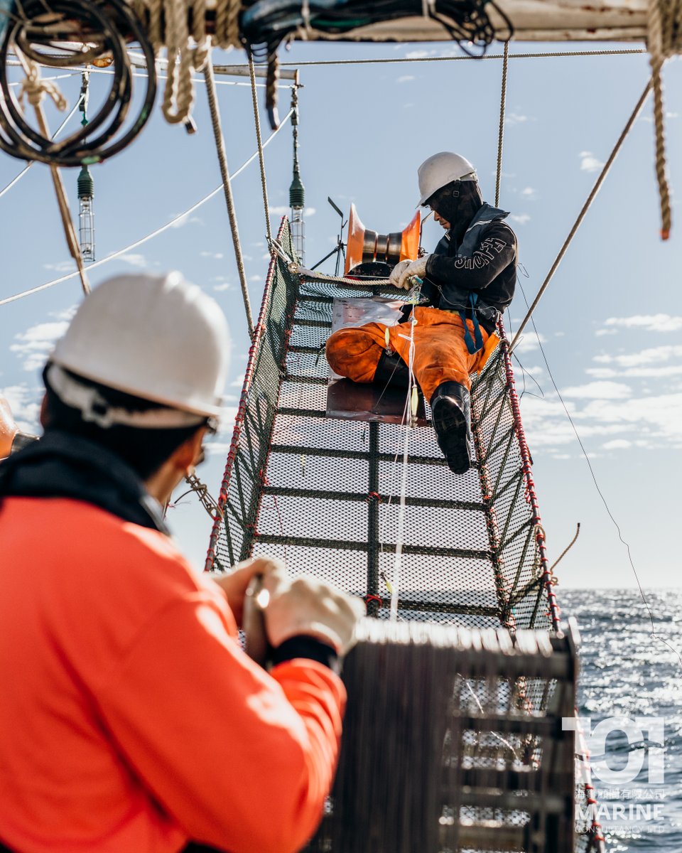 101MarineFK's tweet photo. A two-man team working on a jigger arm.

兩人一組在一個網台工作

#101marine #falklands #falklandislands #fishery #vessel #jigger #taiwan #kaohsiung #squidjigging #fishing #squidjigger #squidfishing #SouthAtlantic #illex #fishingvessel #squid https://t.co/rIU49vtsMJ