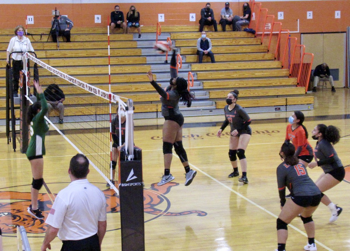 LPSPhotos1722's tweet photo. Check out some scenes from a recent @LHS_GVB match! The Lady Tigers will celebrate Senior Day on Friday.
See more photos ➡️ https://t.co/yTZ3BFiIPl
#LindenCelebrates #LindenSpirit @LindenSupe @LHS_NJ @LHS_OrangeArmy @lpstigersports https://t.co/9Ga2nJCjus