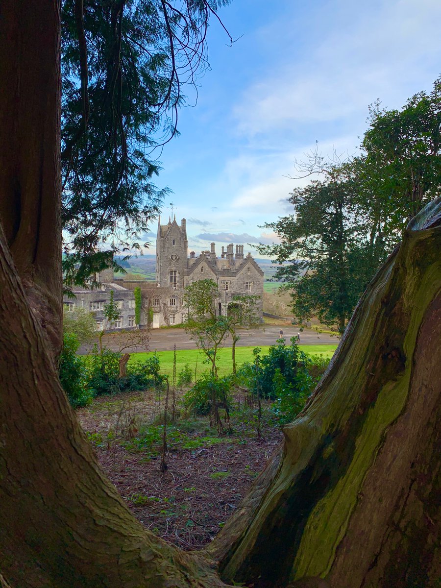 Gelli Aur Country Park - This is a hidden gem close to where I grew up in Carmarthenshire. A beautiful gothic house with woodland walks, deer and some amazing trees.