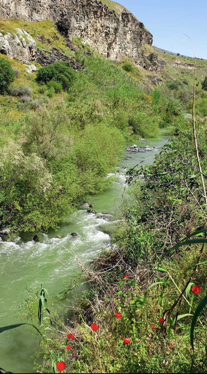 من ١٧ سنه عايش بالامارات و بزور الاردن بالصيف، ولحسن حظي و عشان الظروف الحاليه سافرت عالاردن بالربيع و اكتشفت انه الي بشوفها بالصيف مش الاردن! اليكم بعض الصور من رحلتي و كله تصويري. ج١ #Jordan #VisitJordan #الاردن #Jo