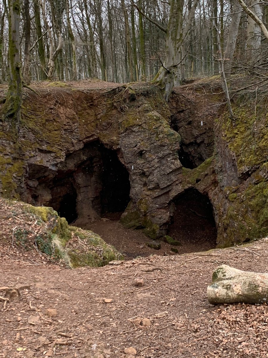 Fforest Fawr (near Caerphilly) - an ancient woodland with nice long walks, a sculpture trail and some cool old mining caves.