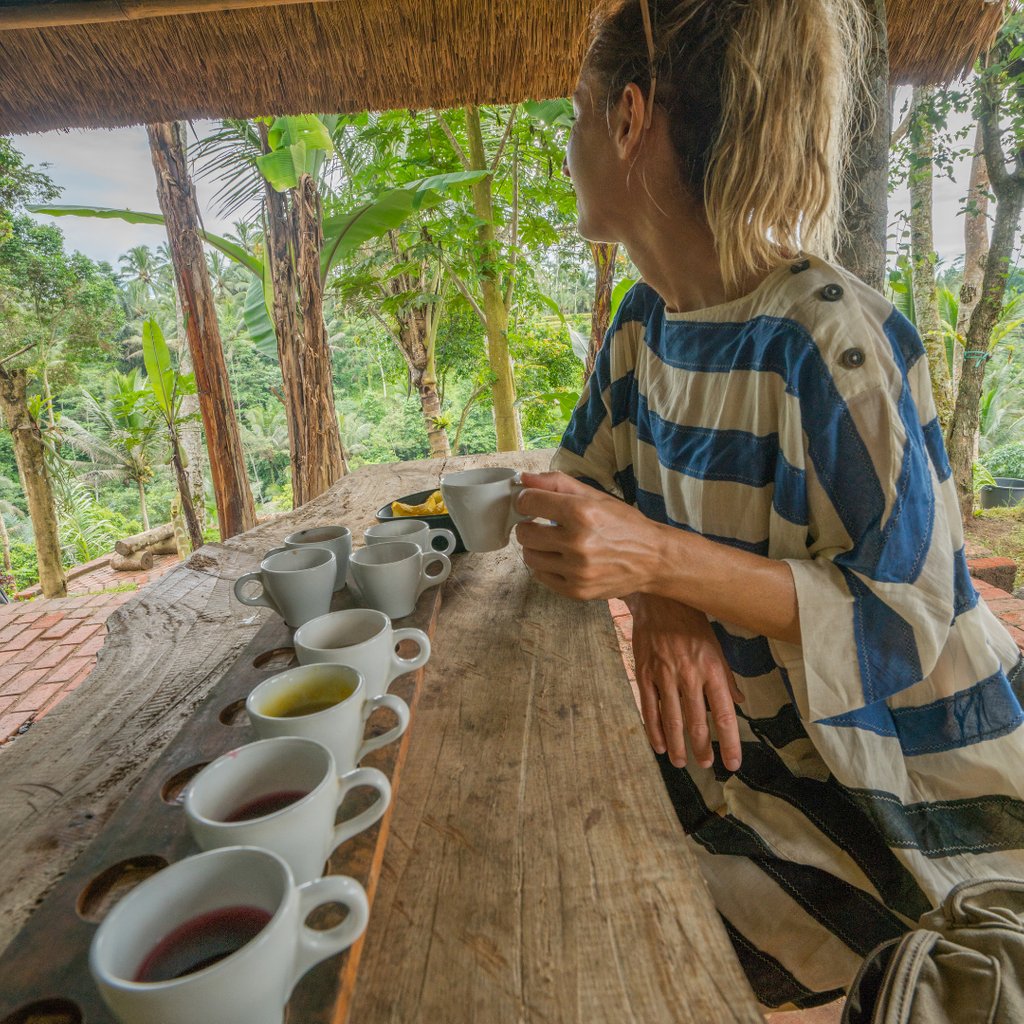 toptreetea's tweet photo. Want to cut to the chase and start sampling some kratom tea blends put together by seasoned tea sommeliers? Try our three house blends: #Morning, Afternoon, and Nighttime! https://t.co/e60gSb2cSw #kratomtea #kratom #functionaltea https://t.co/06fsd9xqpT