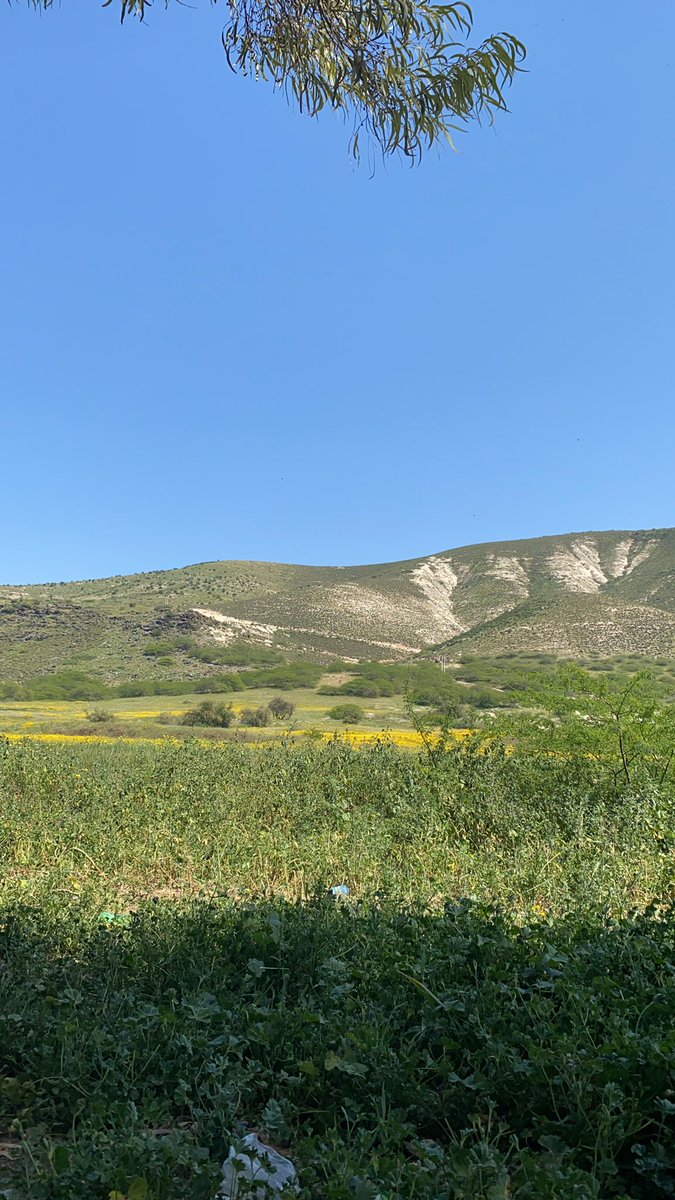 HafezAwad's tweet photo. ج٢ #الاردن #VisitJordan #Jo #jordan https://t.co/o5if8Ylc1C