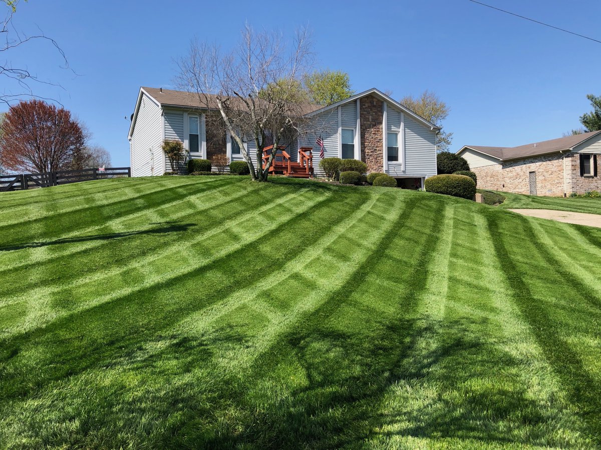 yardmastery tweet media