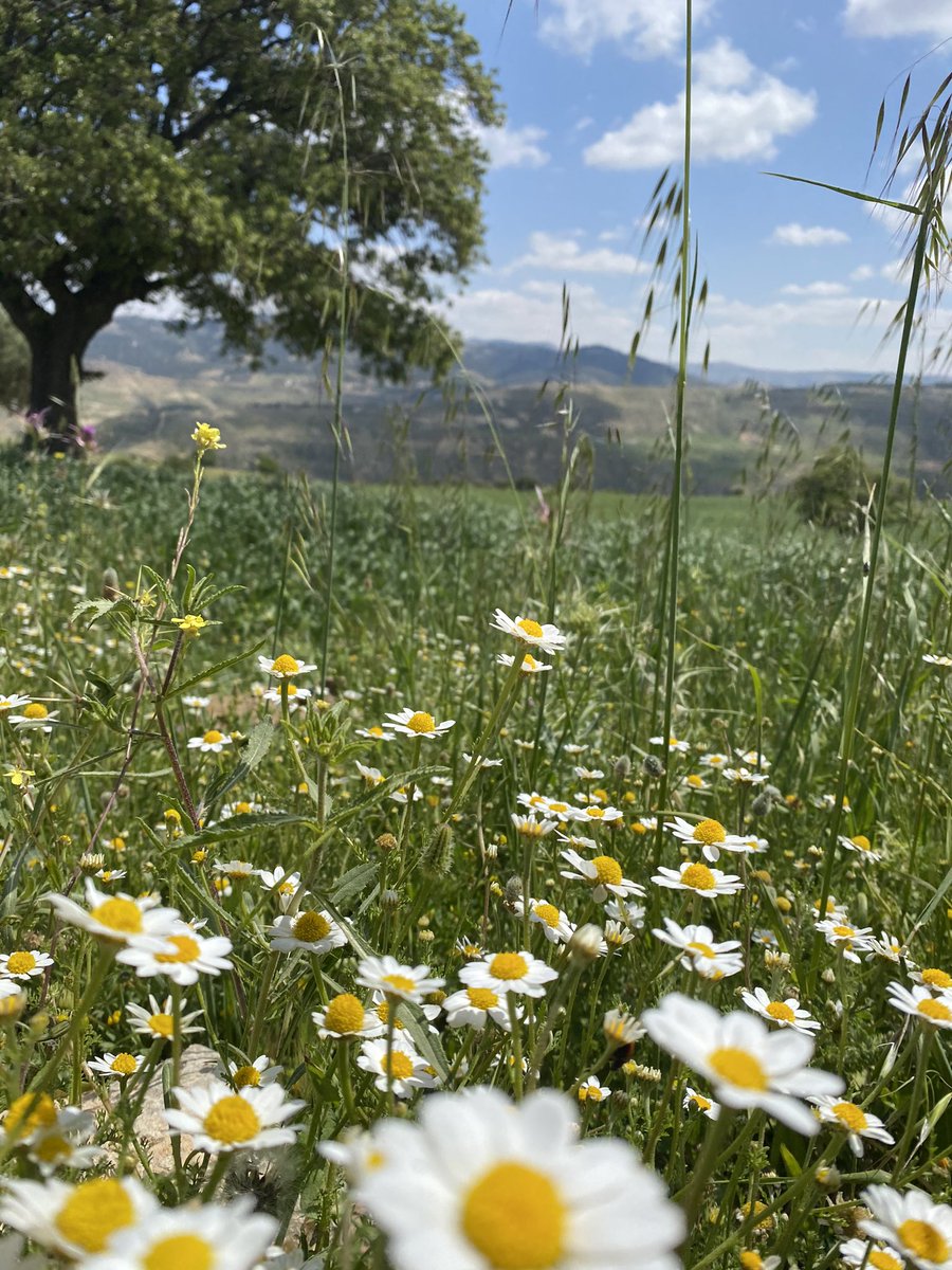 #الاردن #VisitJordan #Jo #Jordan ج٣