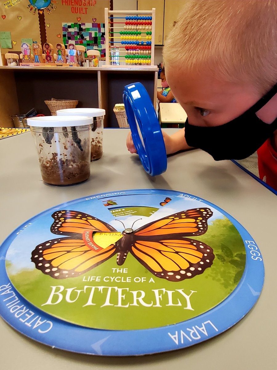 PHpreschool's tweet photo. Spring is in the air at Paseo Hills Community Ed Preschool.#lifecycleofabutterfly#caterpillar#extraordinary @CommunityDv @BarbaraErvin19 @DrFinchDVUSD @PrincipalJHood https://t.co/u32L2cskqq