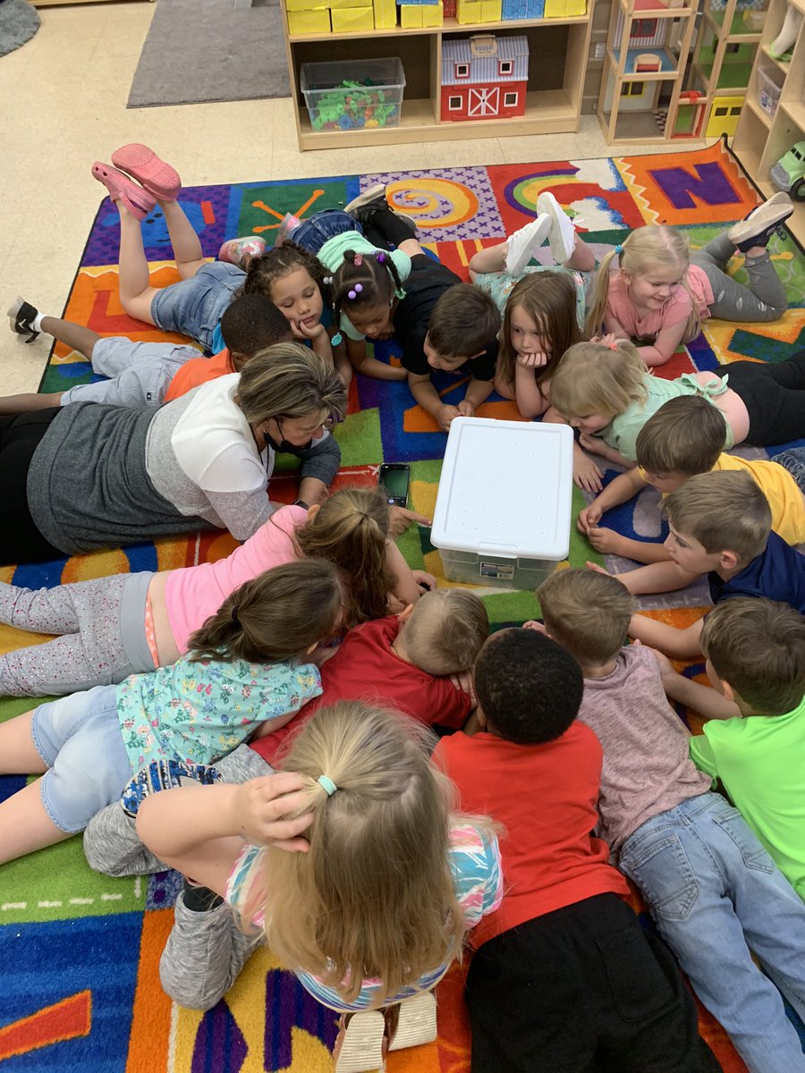 meg_broadfoot's tweet photo. Welcome to the classroom, Charlie Jack Hartman Froggy!!! What an awesome learning experience as frog week comes to life! 🐸 @GWTPrimary @VeronicaBayles @region_one #firstclassprek https://t.co/yZuvIOiFdY