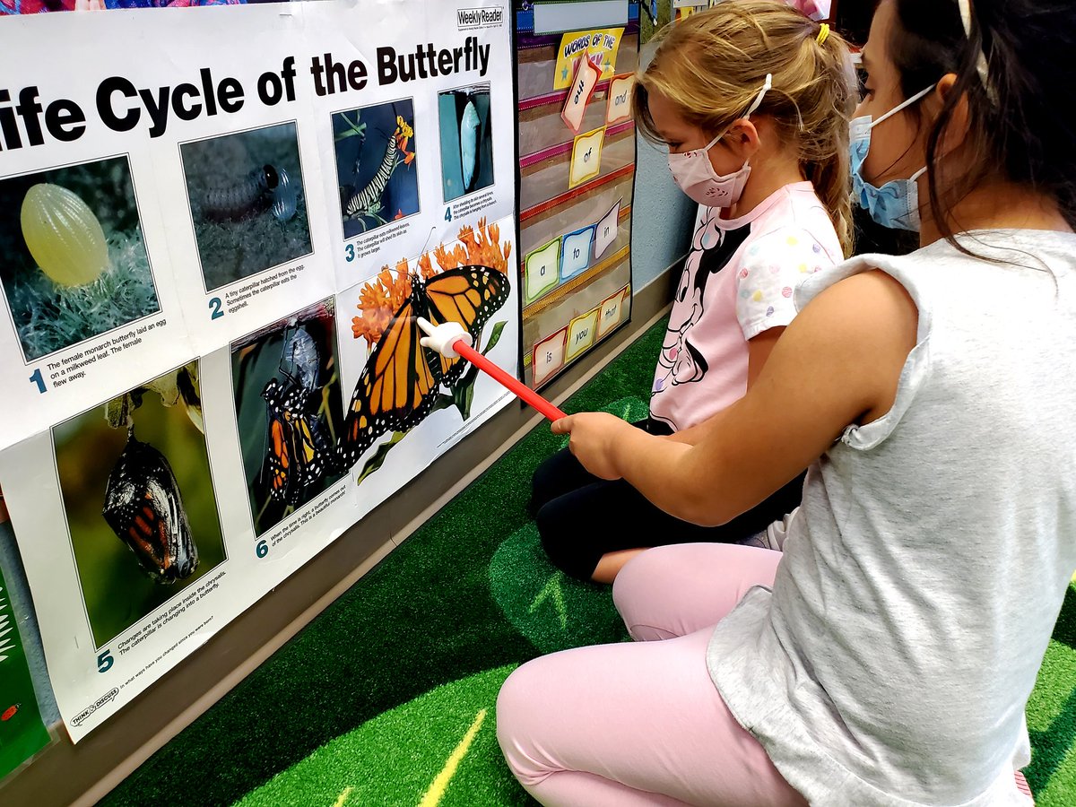 PHpreschool's tweet photo. Spring is in the air at Paseo Hills Community Ed Preschool.#lifecycleofabutterfly#caterpillar#extraordinary @CommunityDv @BarbaraErvin19 @DrFinchDVUSD @PrincipalJHood https://t.co/u32L2cskqq