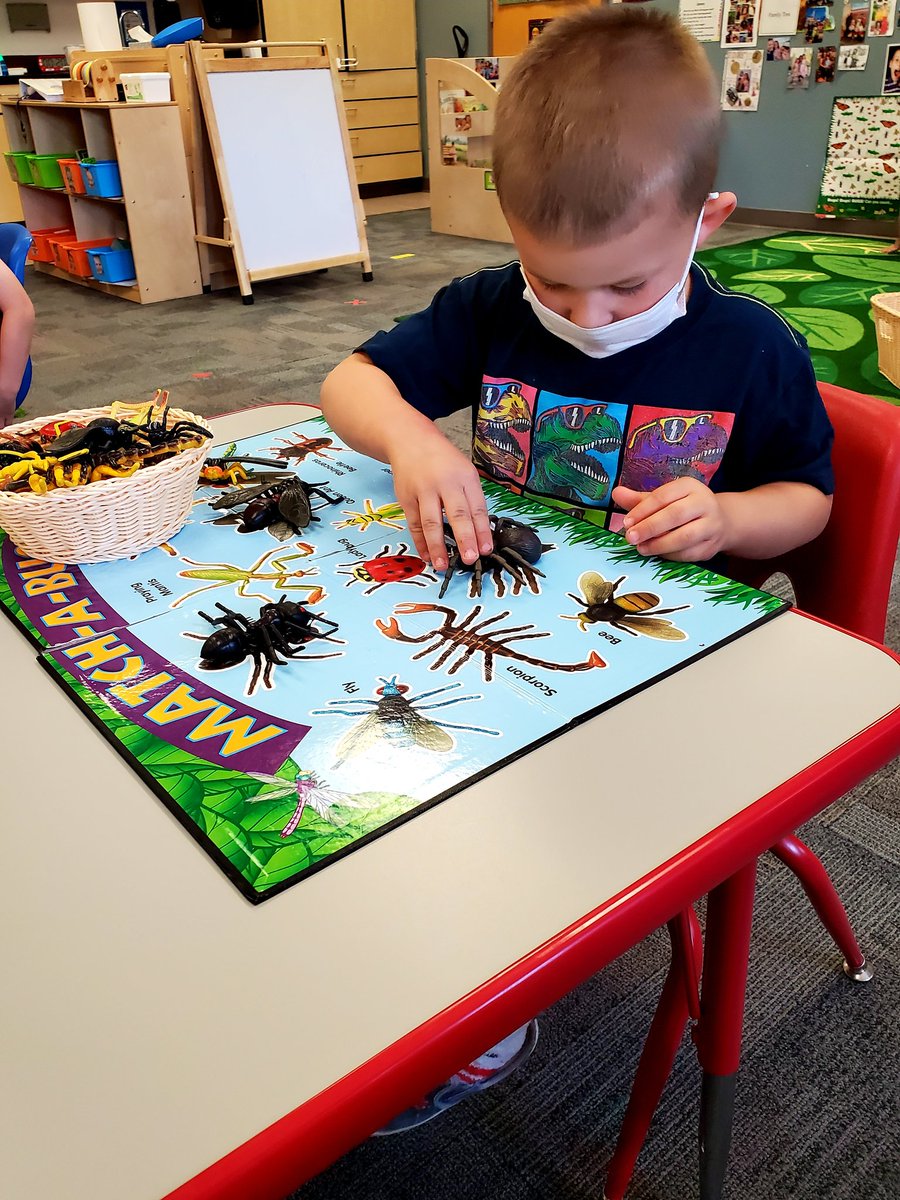 PHpreschool's tweet photo. Spring is in the air at Paseo Hills Community Ed Preschool.#lifecycleofabutterfly#caterpillar#extraordinary @CommunityDv @BarbaraErvin19 @DrFinchDVUSD @PrincipalJHood https://t.co/u32L2cskqq