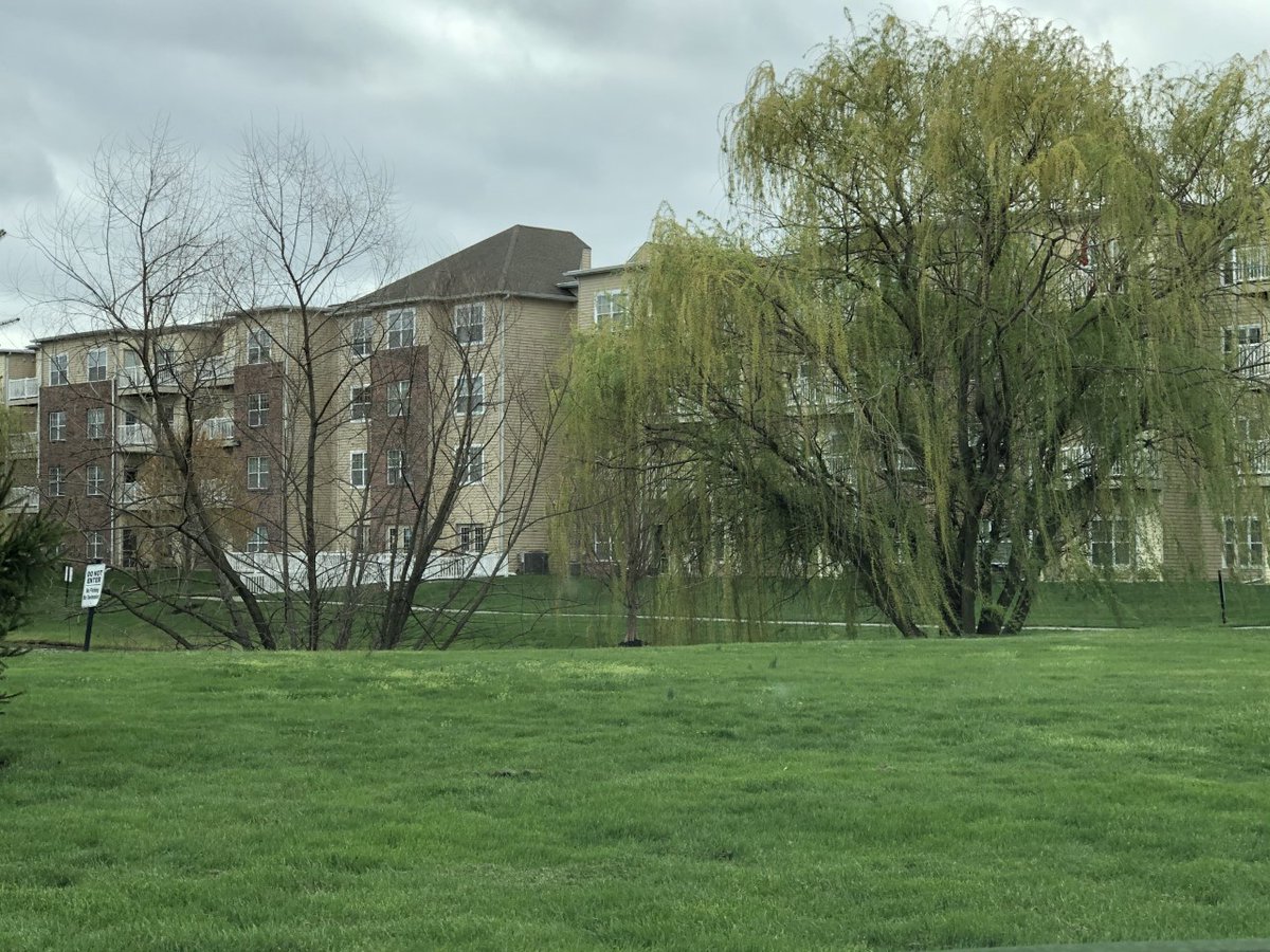 Kittle Property Group, Inc. (@kittleproperty) on Twitter photo That moment when you look around and everything is green again...
Our Brookhaven at County Line property on the South Side of Indianapolis is looking fresh and ready for spring! That moment when you look around and everything is green again...
Our Brookhaven at County Line property on the South Side of Indianapolis is looking fresh and ready for spring!