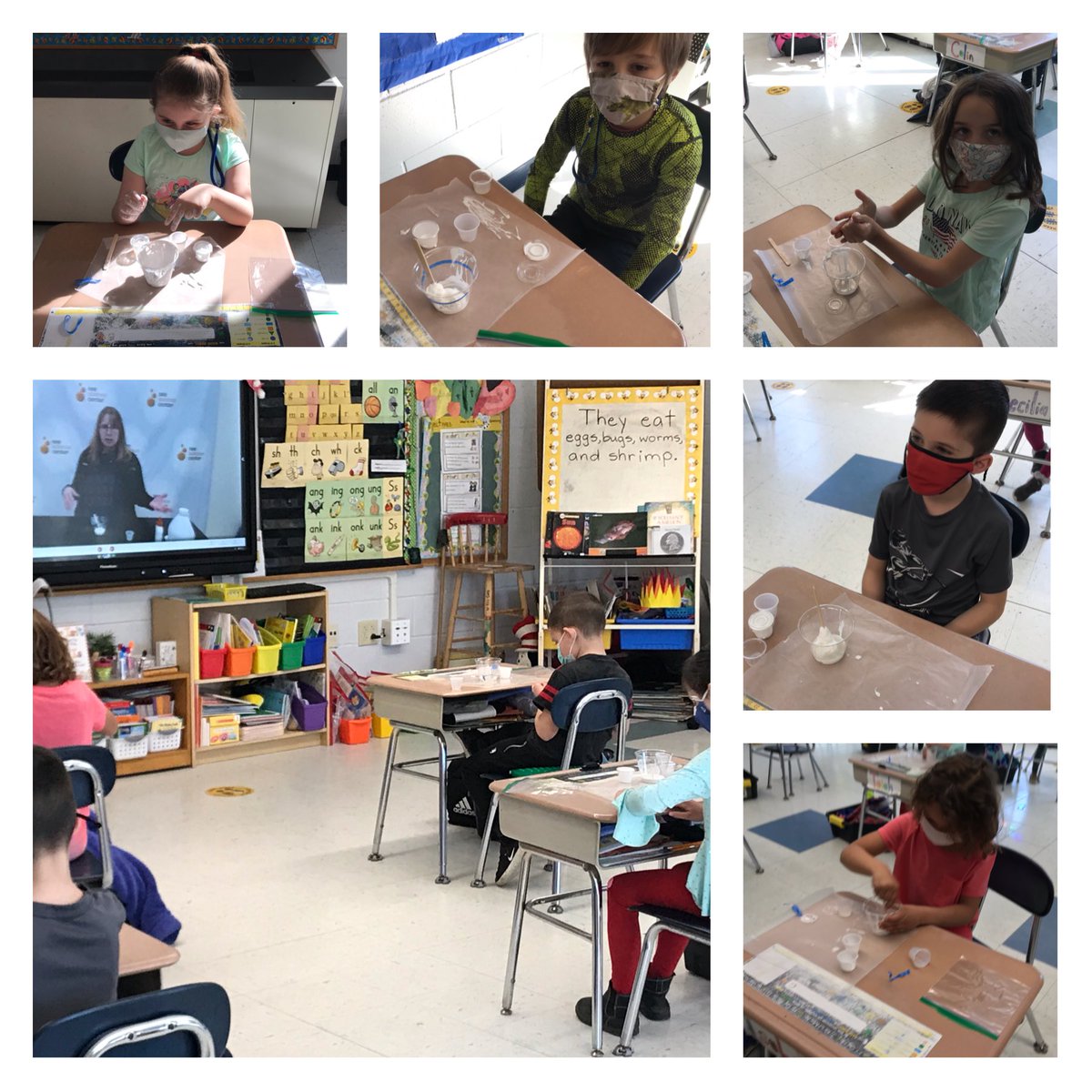 hendersongrade1's tweet photo. Slimy Science fun from the SEE Science Center (virtually)! #PESTogetheras1 https://t.co/0eOCdc3pns