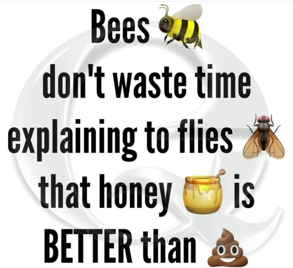 ccarterone's tweet image. 