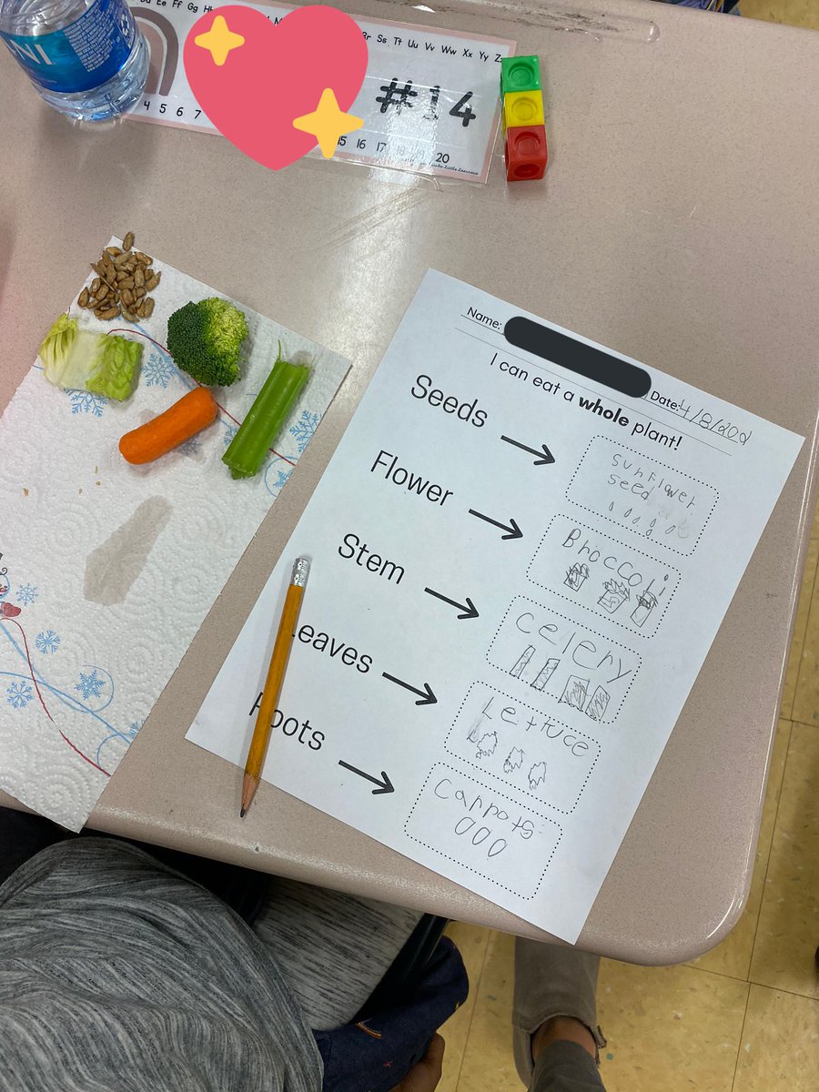 missbontrager's tweet photo. What better way to continue learning about plants than to EAT them! We talked all about the different parts of a plant and got to look at some examples of each part!🥕🥦🥬 https://t.co/0QEvgdSSdJ