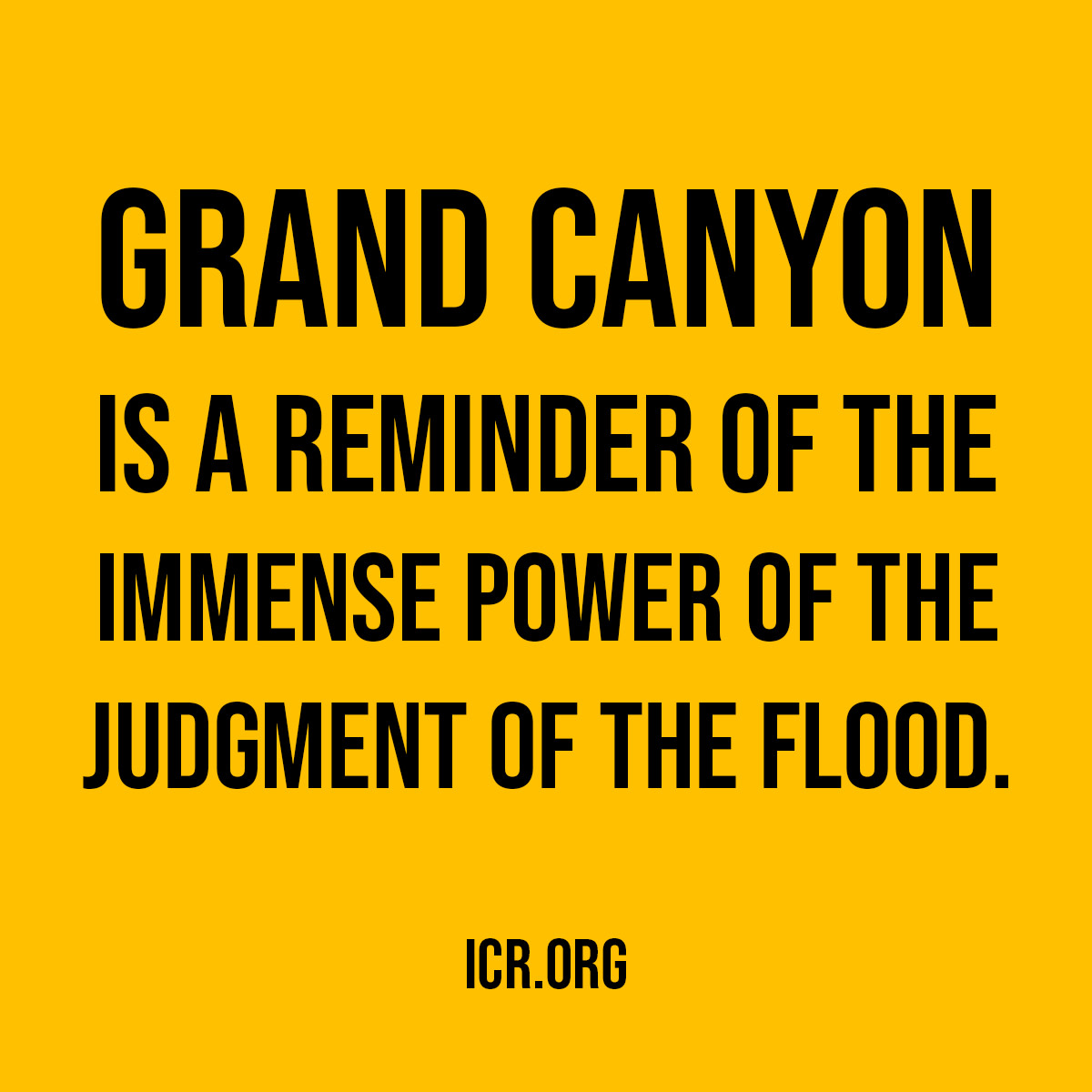 🌊 Grand Canyon is a reminder of the immense power of the judgment of the Flood.

#QuoteOfTheDay #ScienceConfirmsTheBible

<a href="/icrbthomas/">icr brian</a>