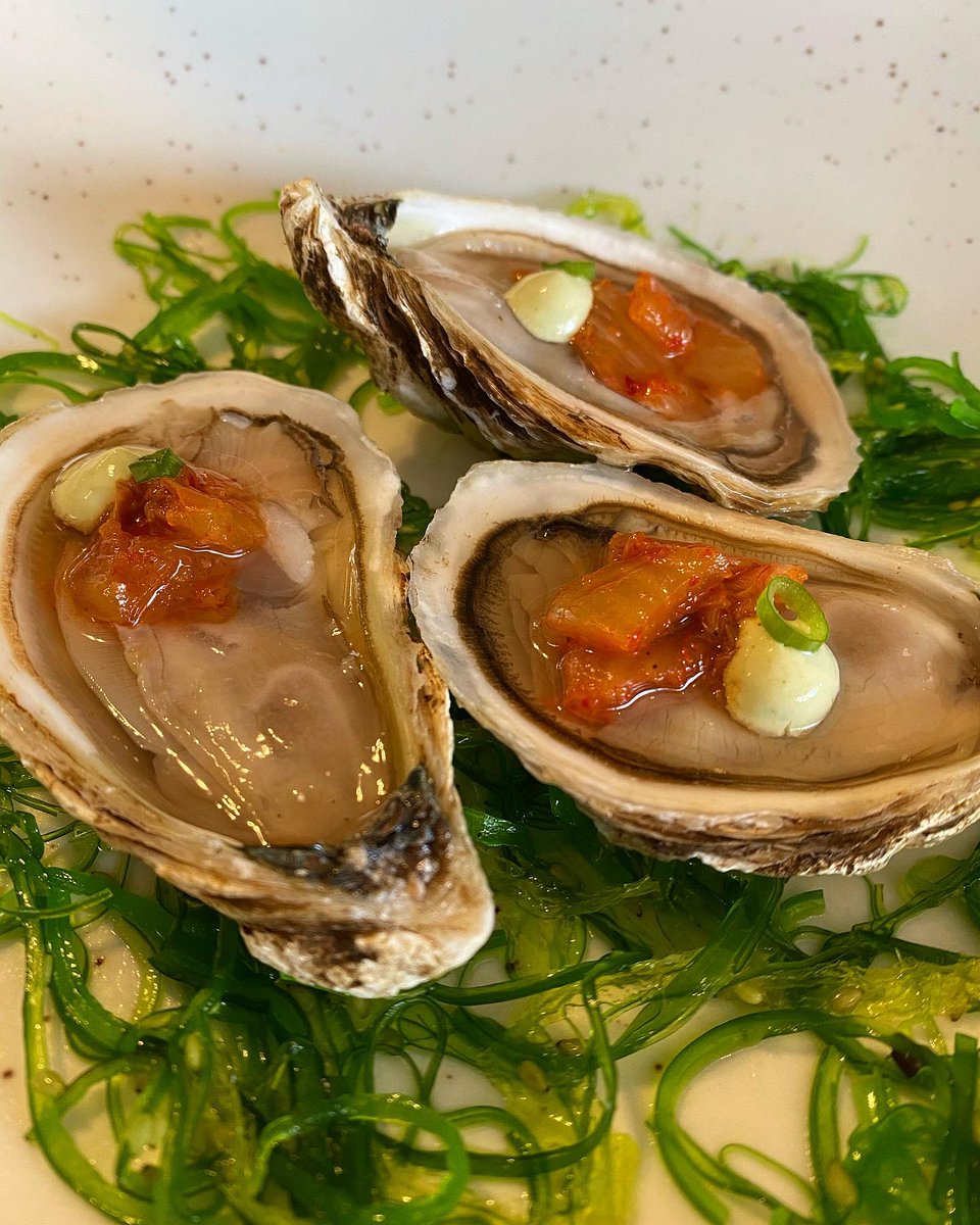 StudioEastHFX's tweet photo. Have you tried our Studio Style #Oysters yet? This week, we are featuring Lucky Lime Oysters from Prince Edward Island. #StudioStyle is with our House-made Kimchi, Cilantro Lime Sour Cream, Green Onions, Seaweed Salad.
#studioeasthfx #freshoysters #peioysters #halifax https://t.co/IKms3xVLod