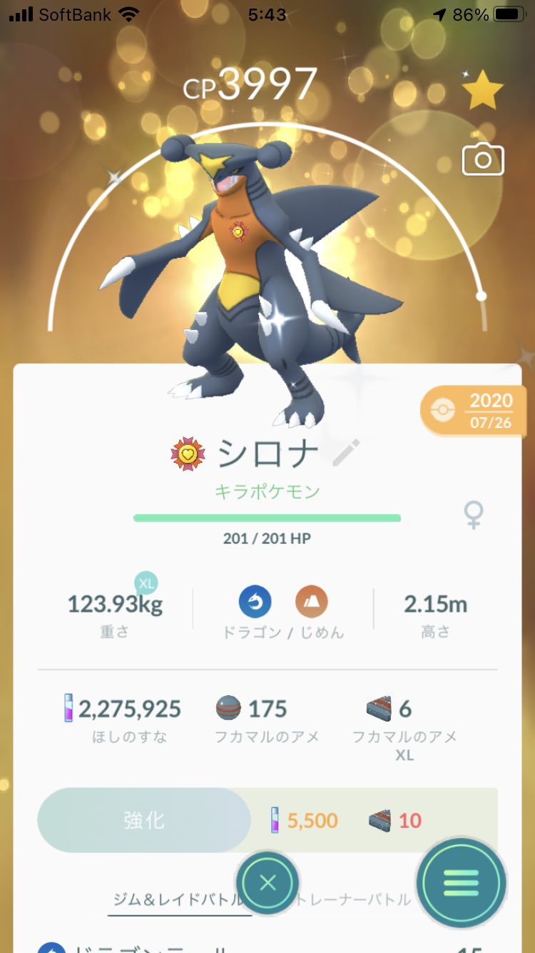 ぺたろー 遂にメガルカリオがその内追加されるのか 最推しポケなので待ち遠しい 実装されたら96 色違いのxl強化個体で暴れまくってやるぜ ポケモンgo ルカリオ T Co Mc6exdbcyb Twitter