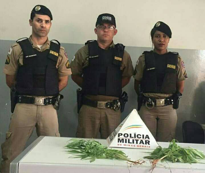 Winning the war on drugs, crop by crop