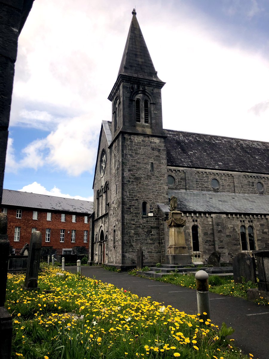 #100daysofwalking #Limerick #LimerickRockAndRollClub  musical tribute #photo in the #LimerickMusic #LimerickMilkMarket #BeeFriendlyLimerick #Dandelions #StJohnsChurchOfIreland buildingsofireland.ie/buildings-sear… @NIAH_Ireland @LimerickEnviron #PerySquare #Ireland