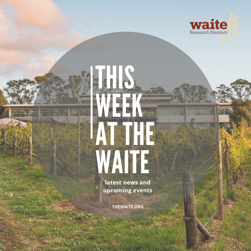 The Waite Weekly Alert - 9 April 2021 - mailchi.mp/7a26d46ad37c/t…
All the latest news and upcoming events from The Waite.