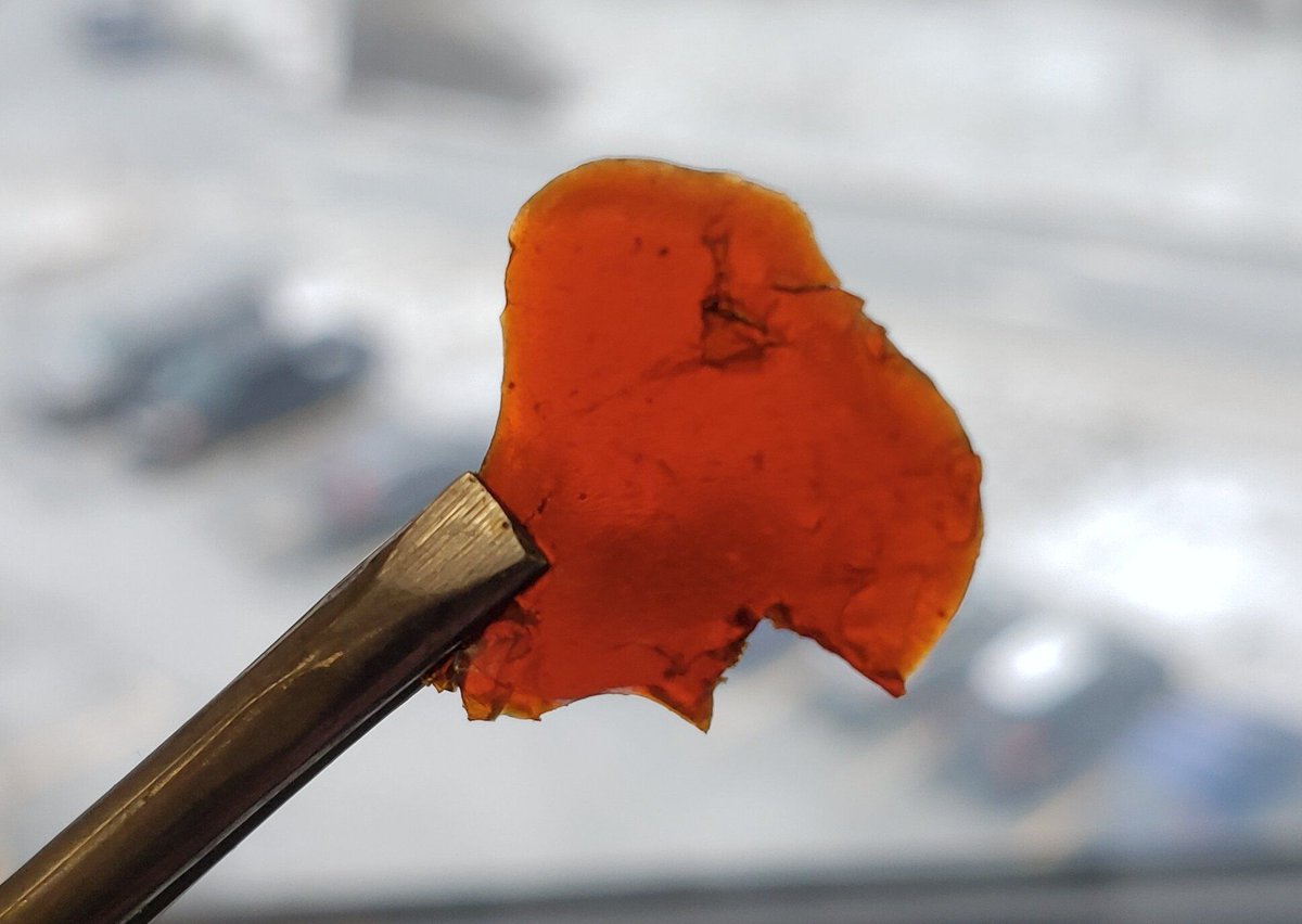 MaterialCX's tweet photo. #CheckItOut Researchers are making cleaner, greener plastics from waste fish parts... and the burning question "Does it smell fishy?" is answered: https://t.co/MuukVtX6NK #Plastics #MaterialInsight #MaterialInnovation #FishPlastic https://t.co/HcyOa1uS5S