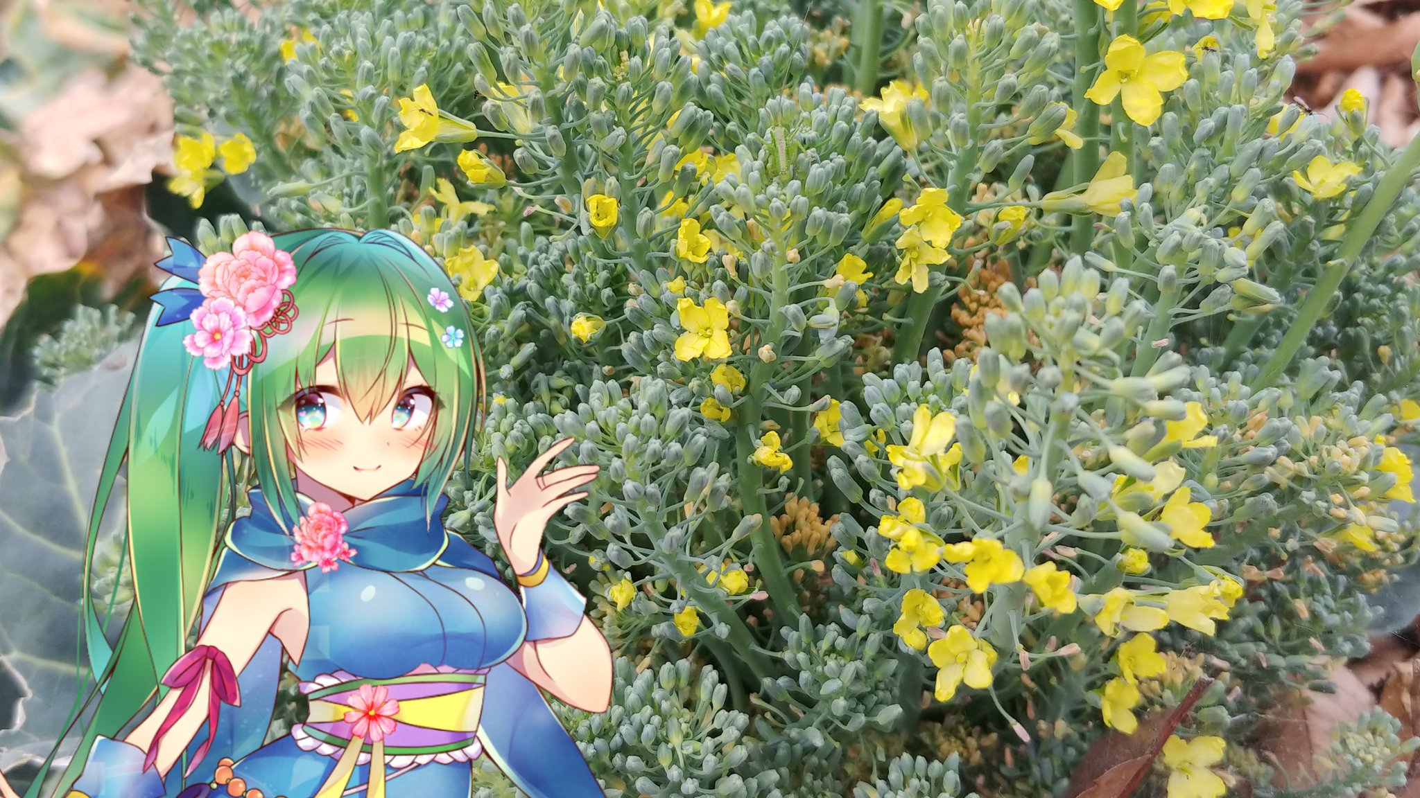 菜月はな バーチャル隣のお姉さん おはようございます 花を愛でる金曜日 はなきん 今日はブロッコリー 花言葉は 小さな幸せ 近所の畑でブロッコリーや大根の花が咲いているのですが どちらもアブラナ科なのでお花の感じが似ています 疲労