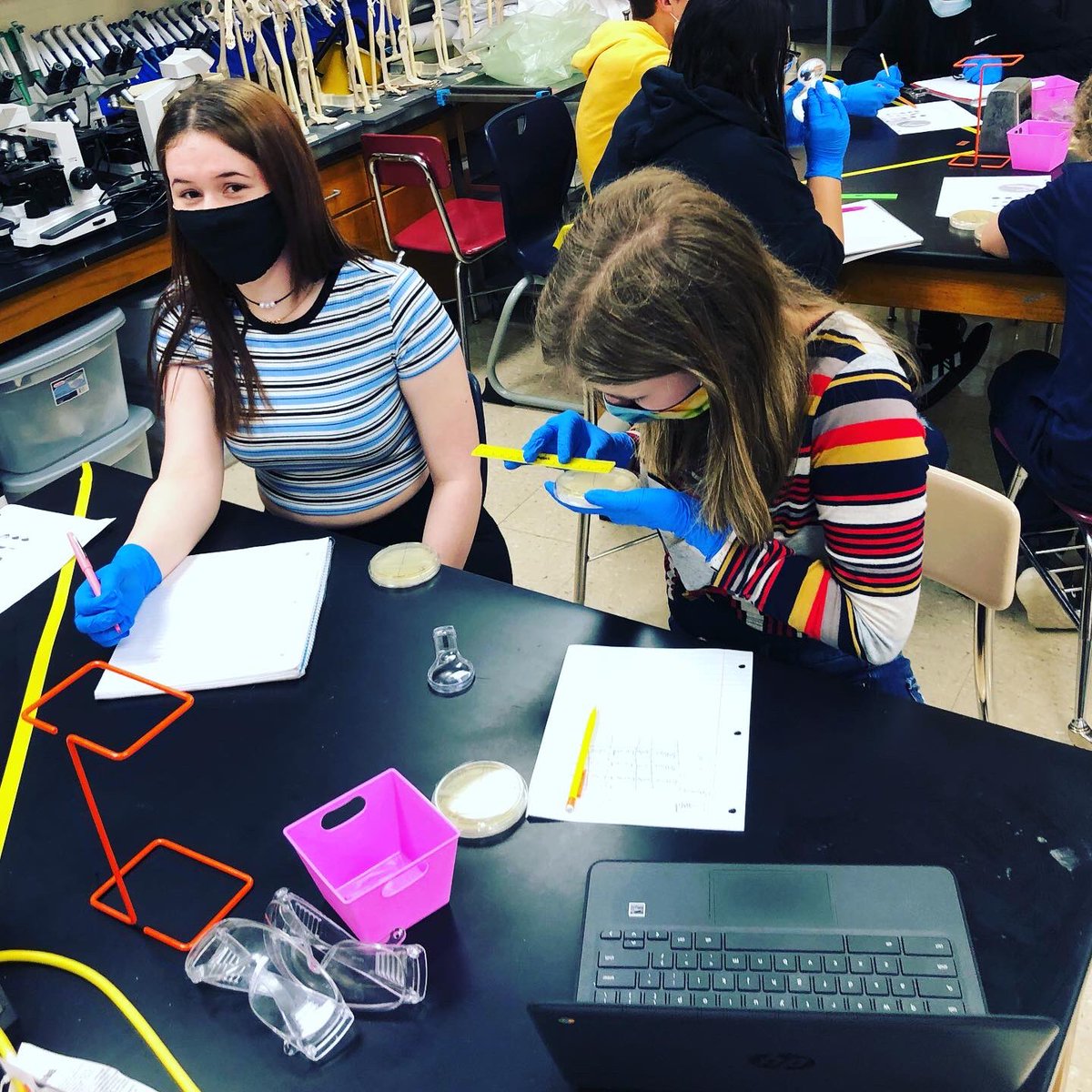 MsFishback's tweet photo. Today was a great day in SCHS Biomedical Science! Bacteria observation and Kidney Transplant viewing all in one day! #PLTWClassroom @RocketLibrary @RocketPrincipal @shelbycountysch https://t.co/INK3BgTceL