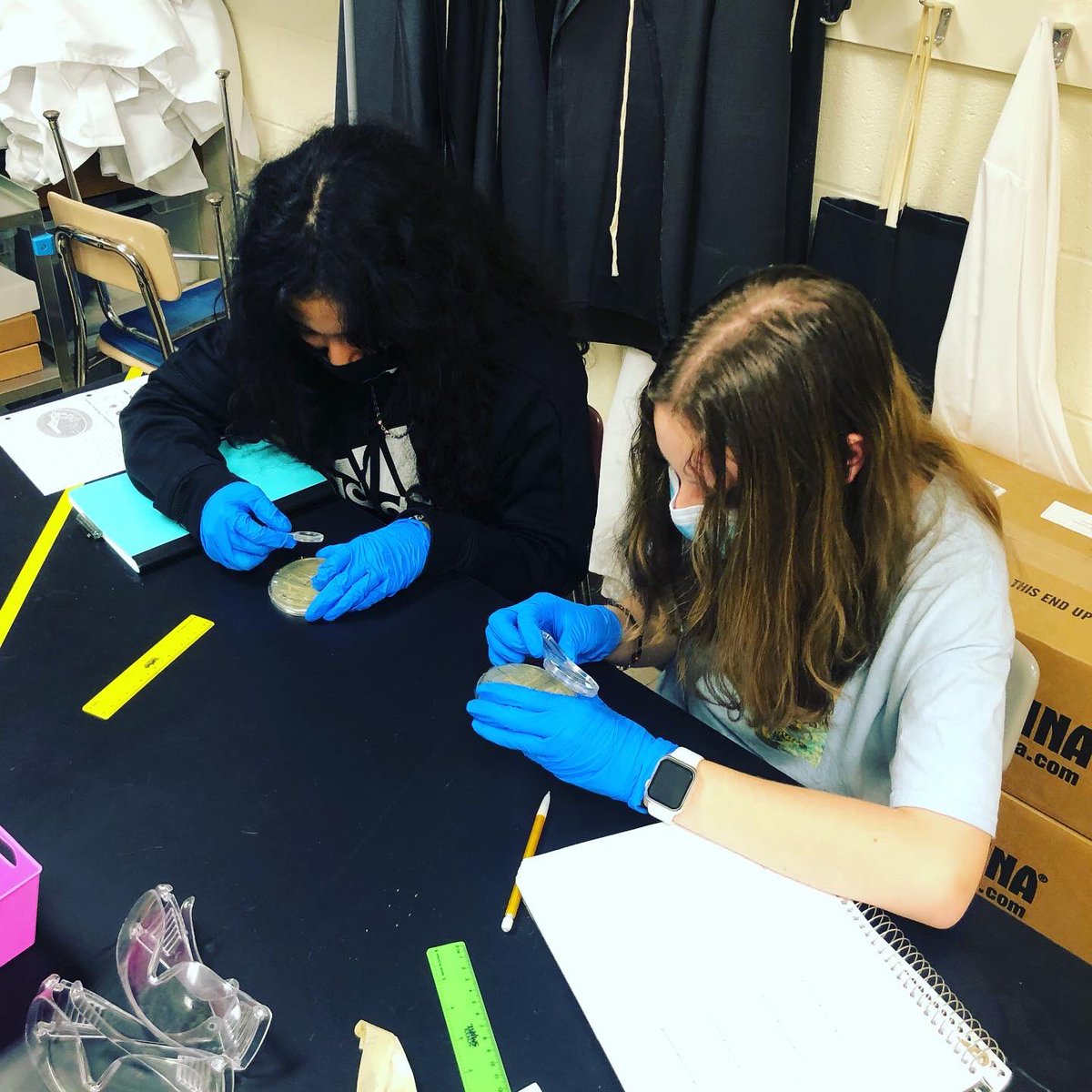 MsFishback's tweet photo. Today was a great day in SCHS Biomedical Science! Bacteria observation and Kidney Transplant viewing all in one day! #PLTWClassroom @RocketLibrary @RocketPrincipal @shelbycountysch https://t.co/INK3BgTceL