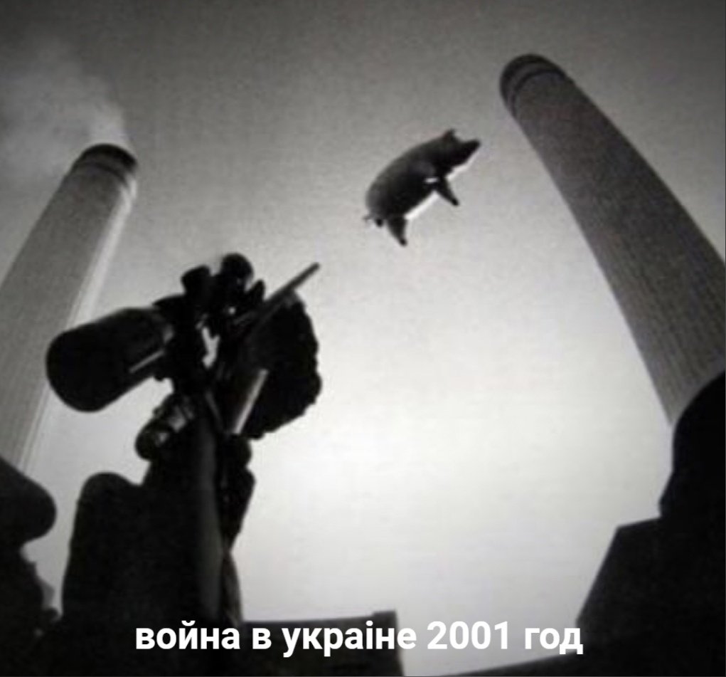 EyeyO_-XMAYQc7F?format=jpg&name=medium