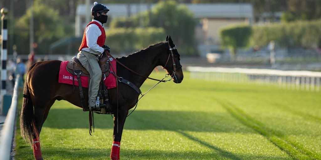 santa-anita-park-on-twitter-no-racing-this-friday-at-santa-anita-for