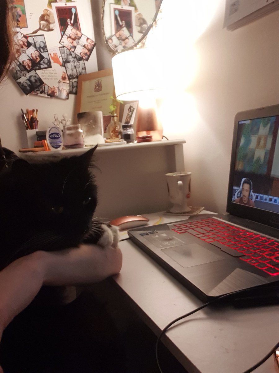 MercedesBroad's tweet photo. My 17 year old cat has always hated sitting on my knee but for some reason every time I watch @DevonBumpkin videos she has to sit on my lap and watch with me 🥺😂 https://t.co/MTHXQKCNbj
