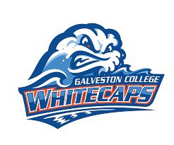 maddy martinez tweet media