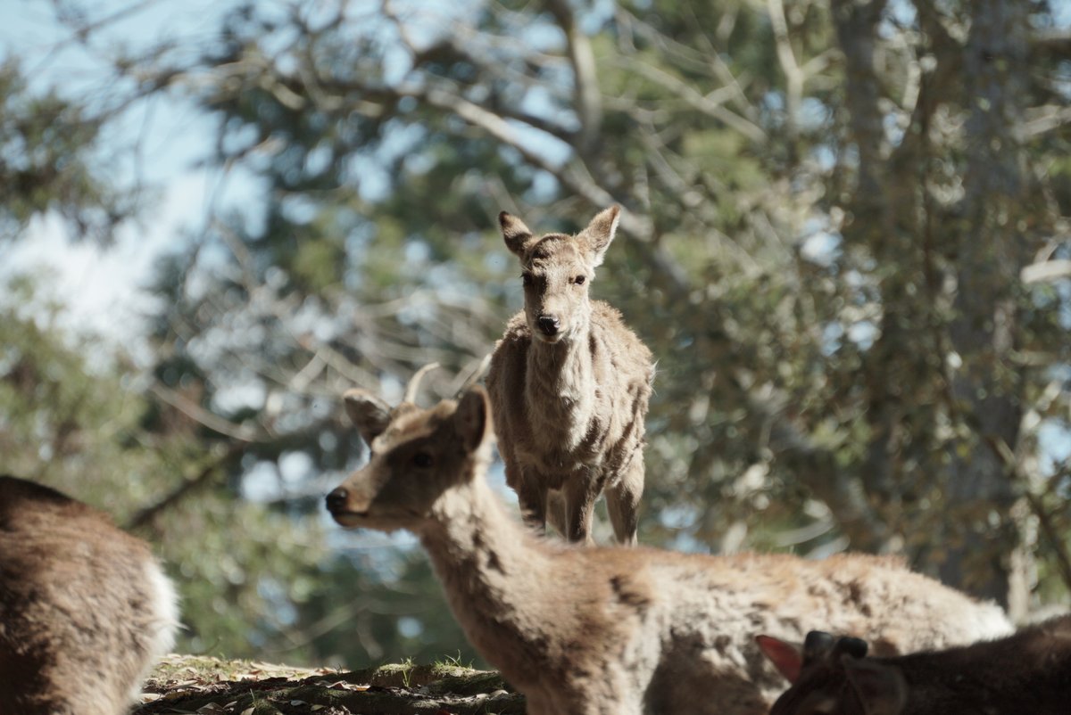 水没@バイクで日本２周目 完 tweet media