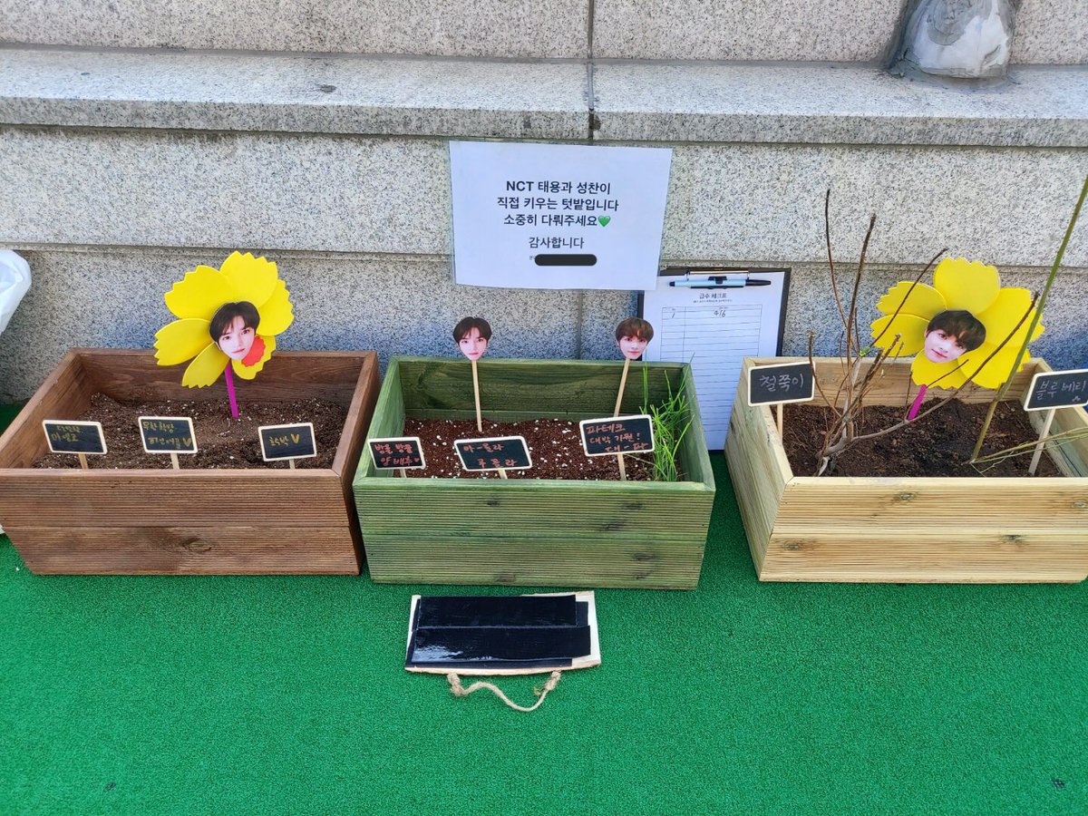 แทยงกับซองชานปลูกต้นไม้ไว้บนดาดฟ้าเอสเอ็ม แล้วแปะป้ายไว้ว่า นี่คือสวนที่ซองชานกับแทยงปลูกเองกับมือ ช่วยทะนุถนอมน้องด้วยนะคับ ละแปะรูปตัวเองไว้ด้วย น่ารักอะ55555555