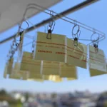 とろけるスライスチーズが外に干されている？!なぜこんなところに!