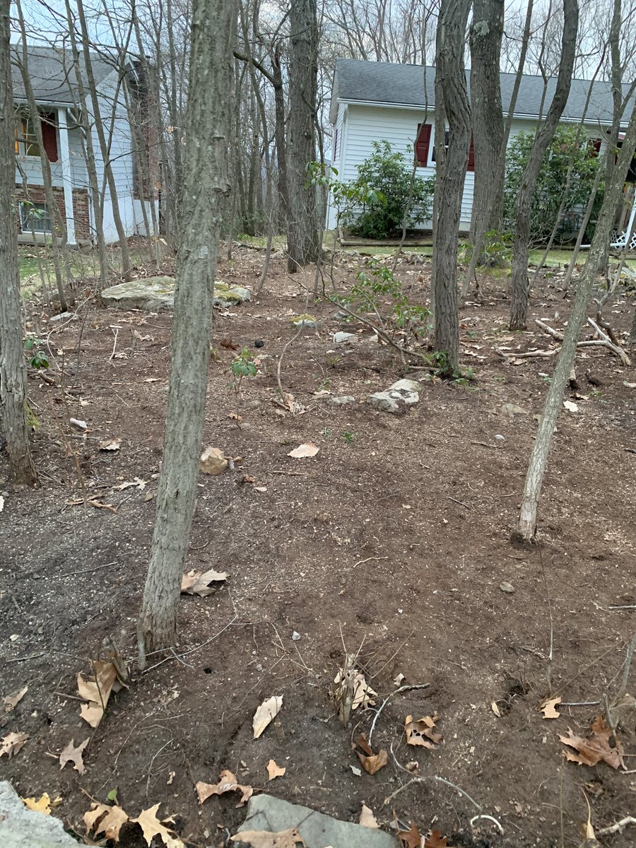 King of Spades Landscaping (KingofSpadesLa1) Twitter