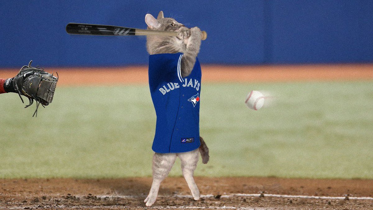 Happy @BlueJays #HomeOpener! Let’s hope the bats get hot and we get a win tonight! Meow. #BlueJays