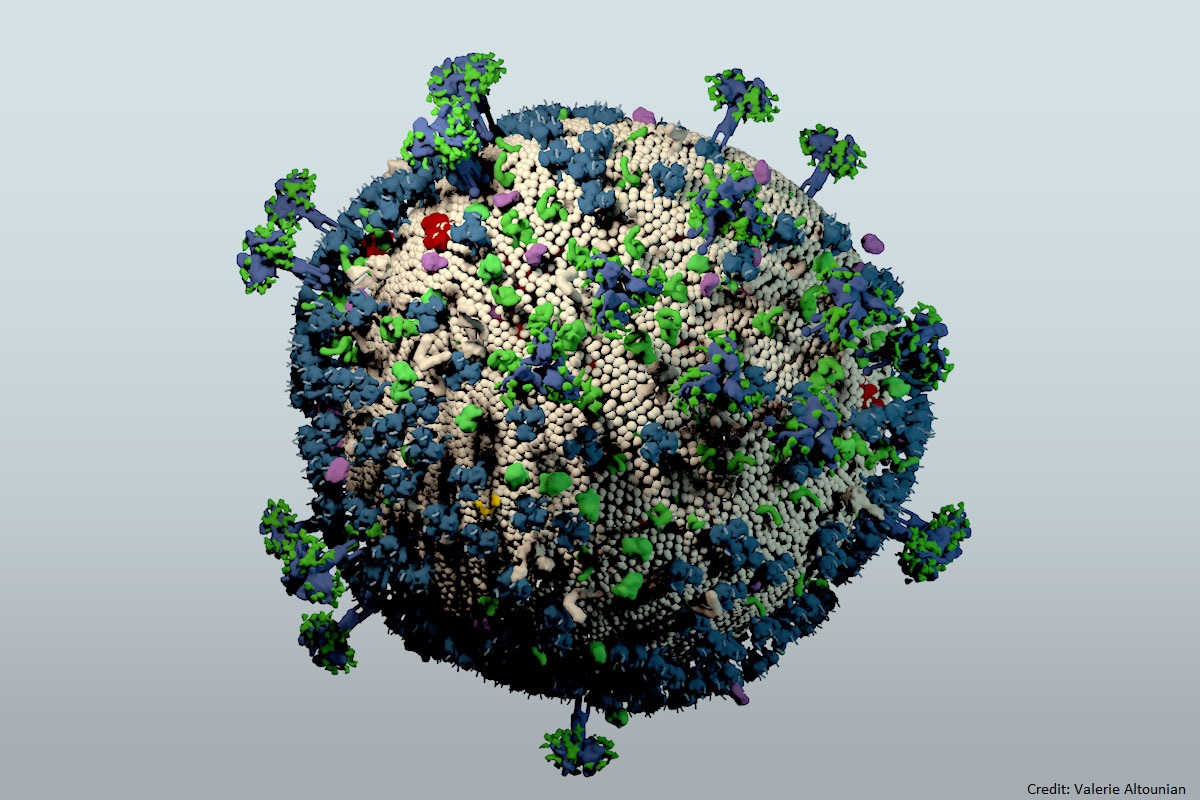 Science Magazine tweet media