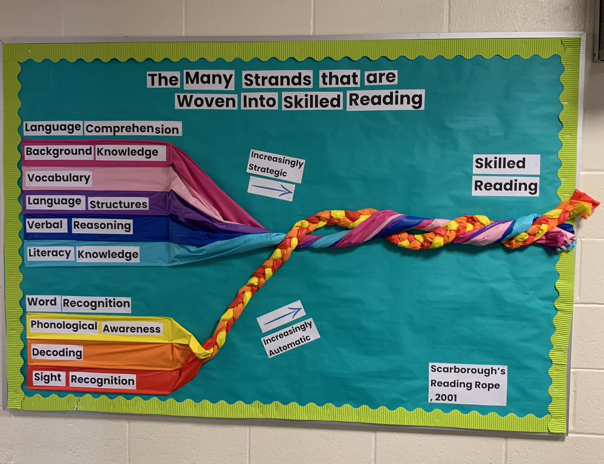 drrandipayne's tweet photo. Our reading specialists are the BEST @NESD #BobcatProud  @liv2learn https://t.co/KHXQa2BtBn