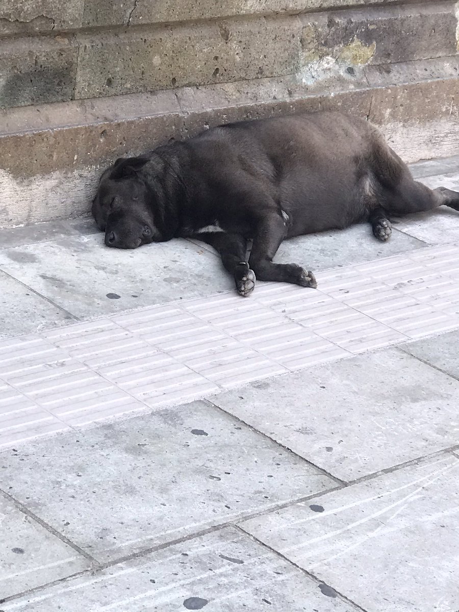 MikeMontano02's tweet photo. Lo que sube mi hermana a ig // Lo que yo subo https://t.co/Dh5O1g5eeb