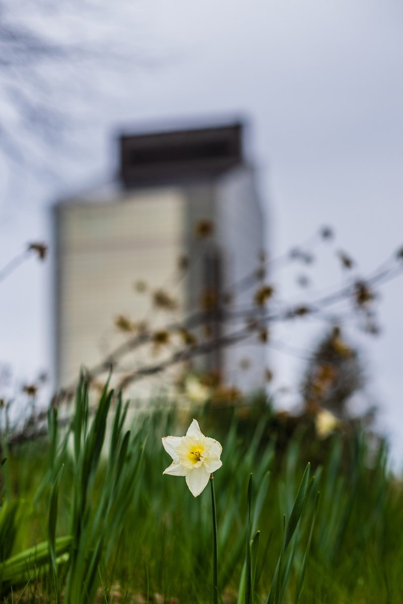 When the May flowers don't wait around for the April showers you know it's going to be a beautiful spring.
