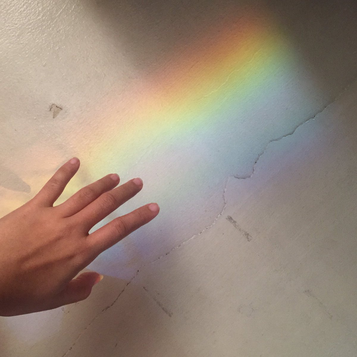 lj_herself's tweet photo. Reaching out for rainbows.
#colorfulMornings
#theSpectrum https://t.co/J72vcOMmn4