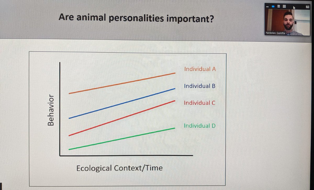 Kimberley Mathot tweet media