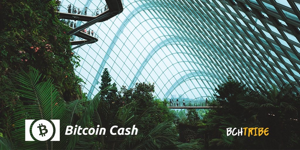 Join the #BCH Tribe and be part of a global community of developers, and ambassadors growing #BitcoinCash around the world✨