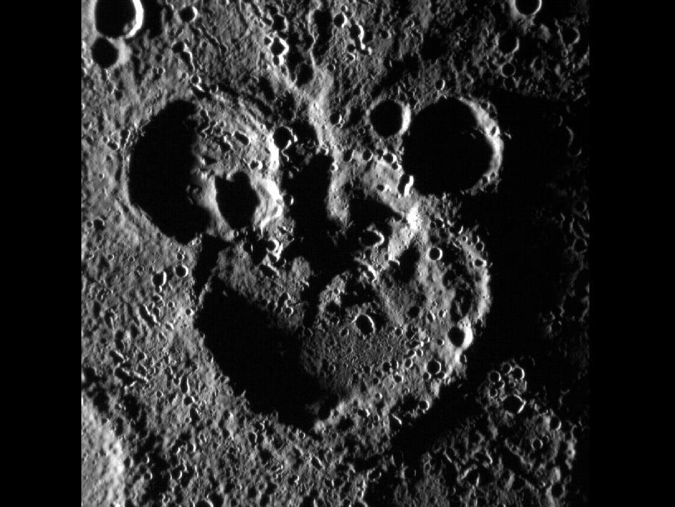 Space tweet media